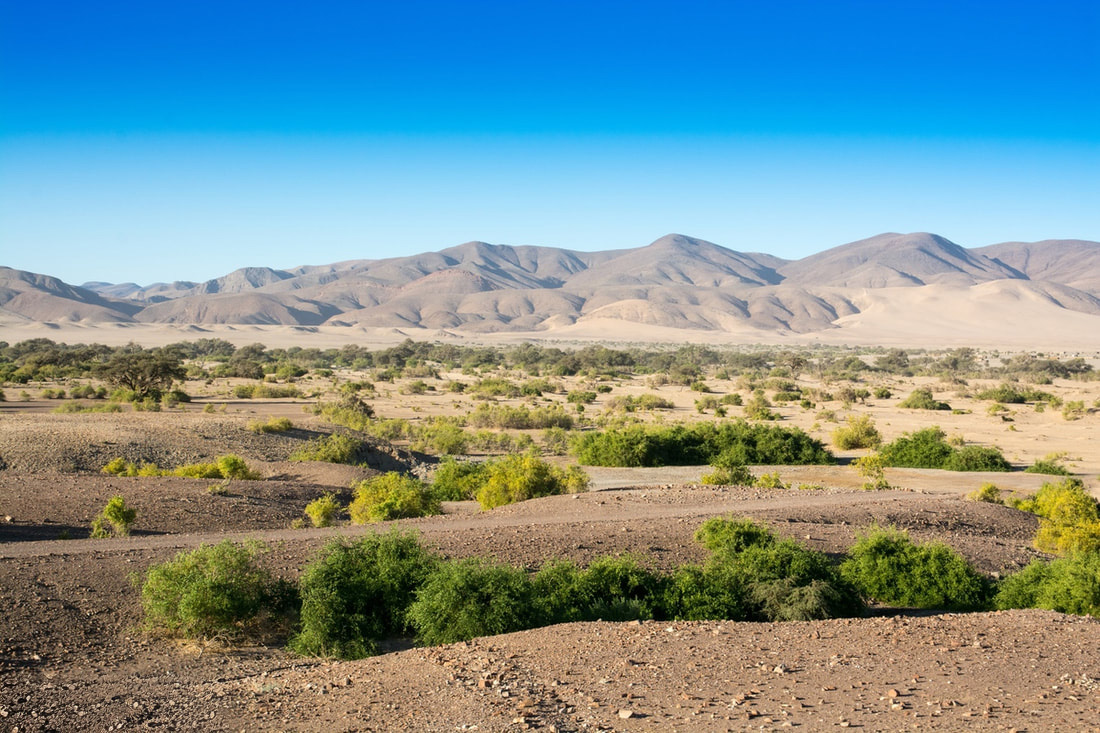 Damaraland, Namibia: Stunning landscape showcasing rugged terrains and breathtaking natural beauty.