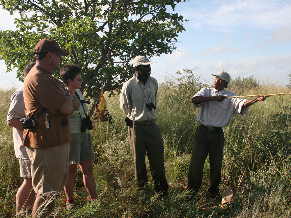 Guide giving education to the walking safari guests