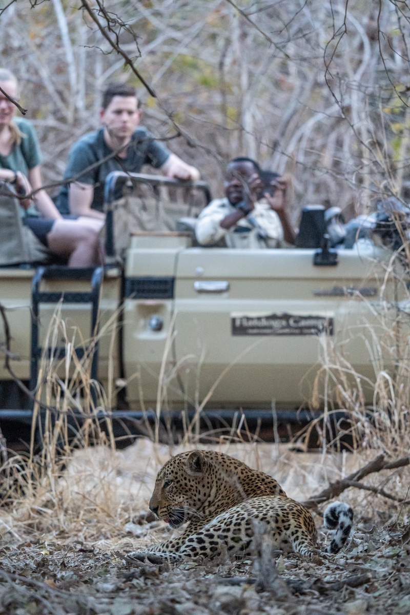 Safari destinations to see Leopards in Africa