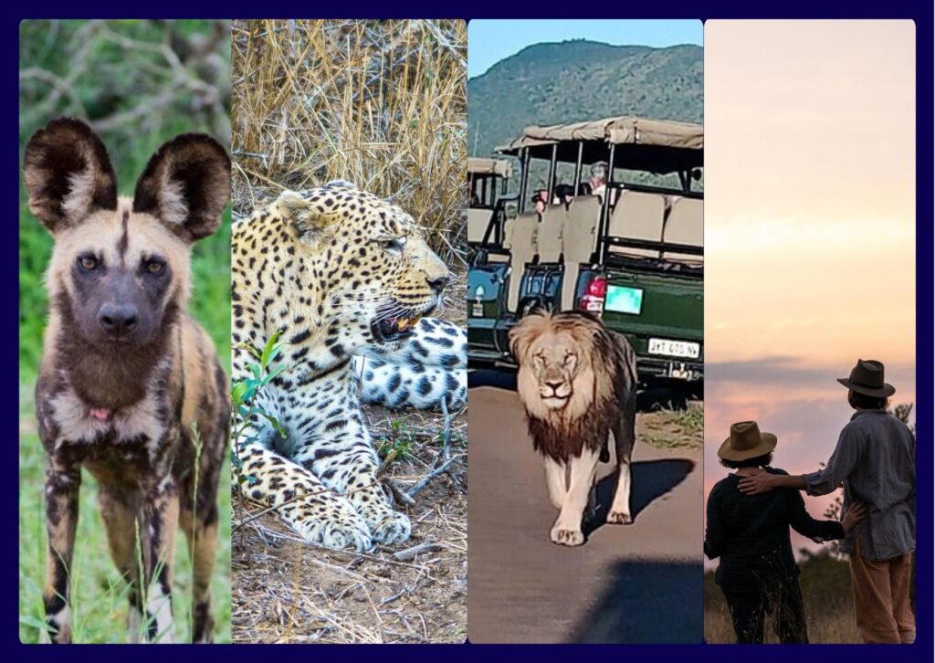 Kruger Private Reserves: Timbavati, Klaserie, Sabi Sand