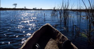 First person view of the bow of a Mokoro and other guests in a mokoro ahead in the water ways of the Okavango Delta